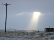 Falklands16