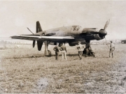 Dornier Do-335