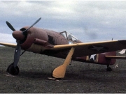 Focke Wolf FW-190